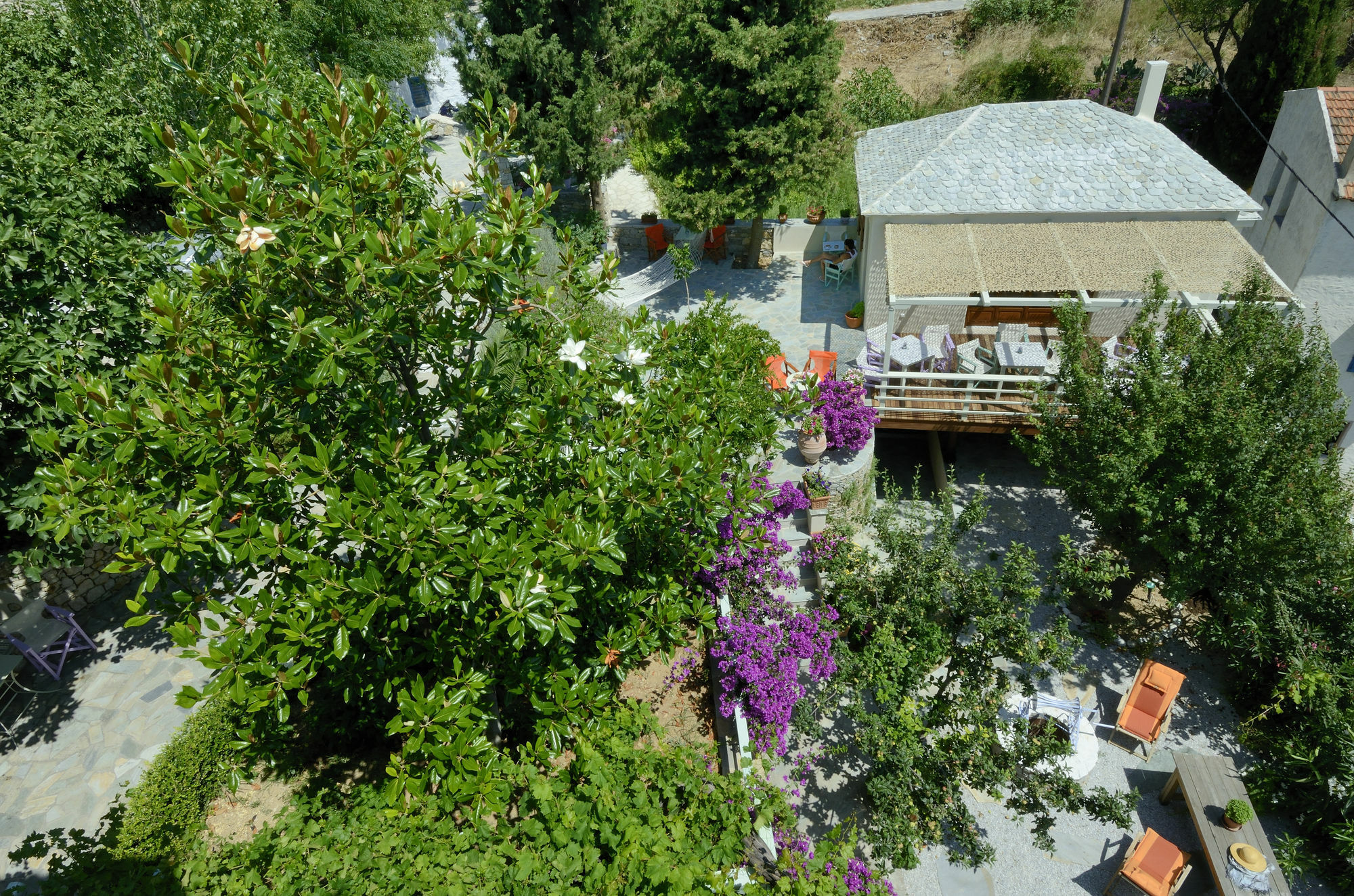 Konstantina Studios Alónnisos Zewnętrze zdjęcie